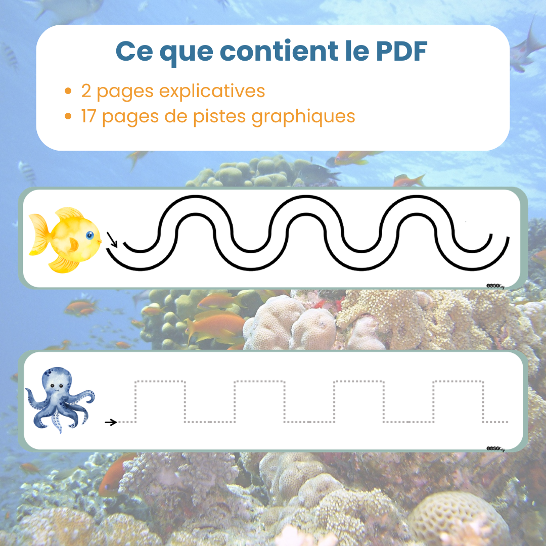 Contenu du PDF fiches de graphisme animaux marins : fiches explicatives et 43 pistes graphiques à découper