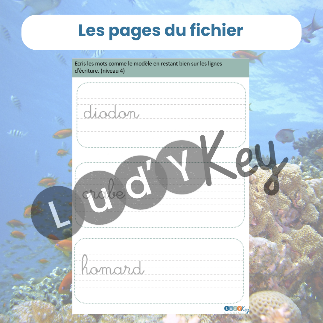 3 fiches d'écritures animaux marins en cursive