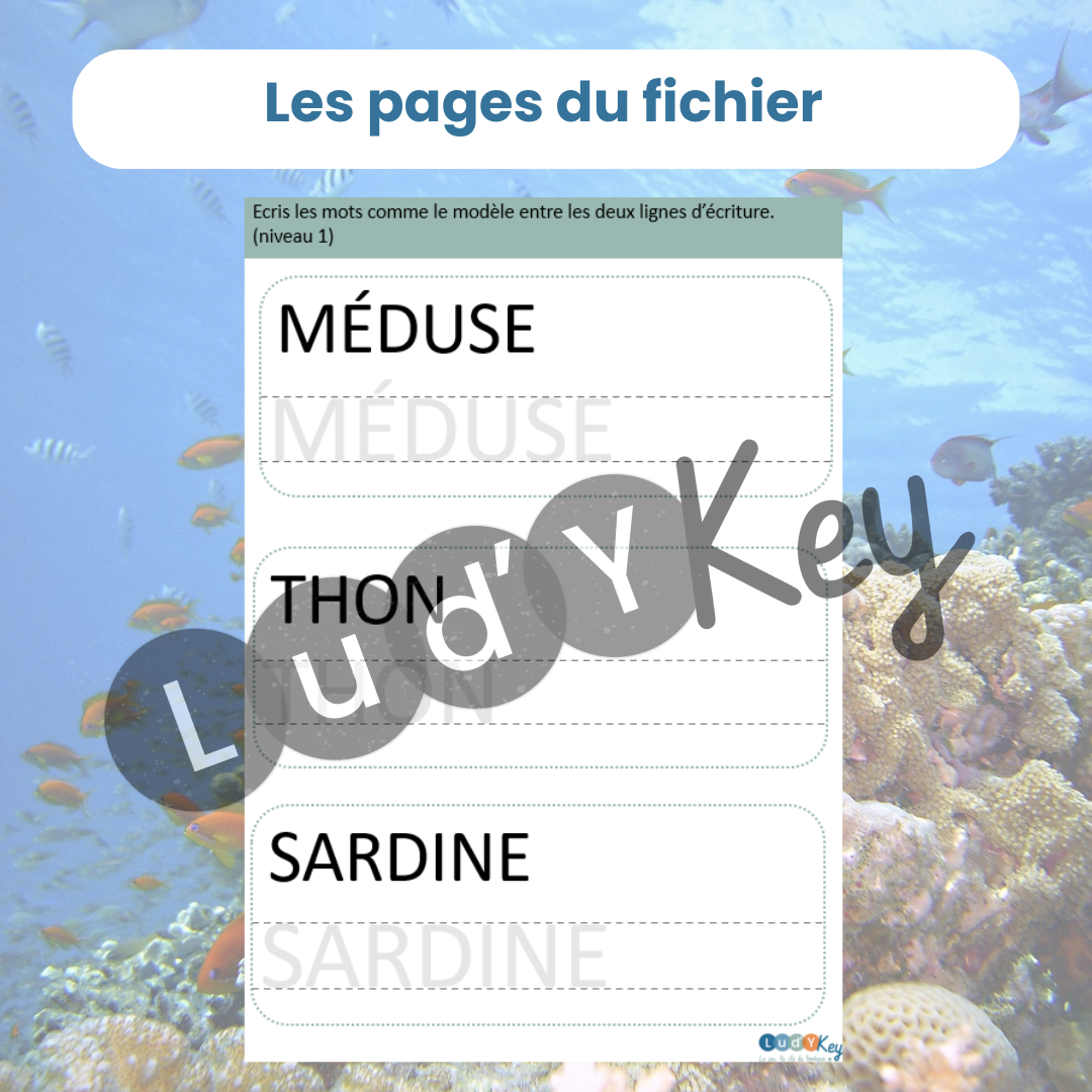3 fiches d'écriture animaux marins en script majuscule