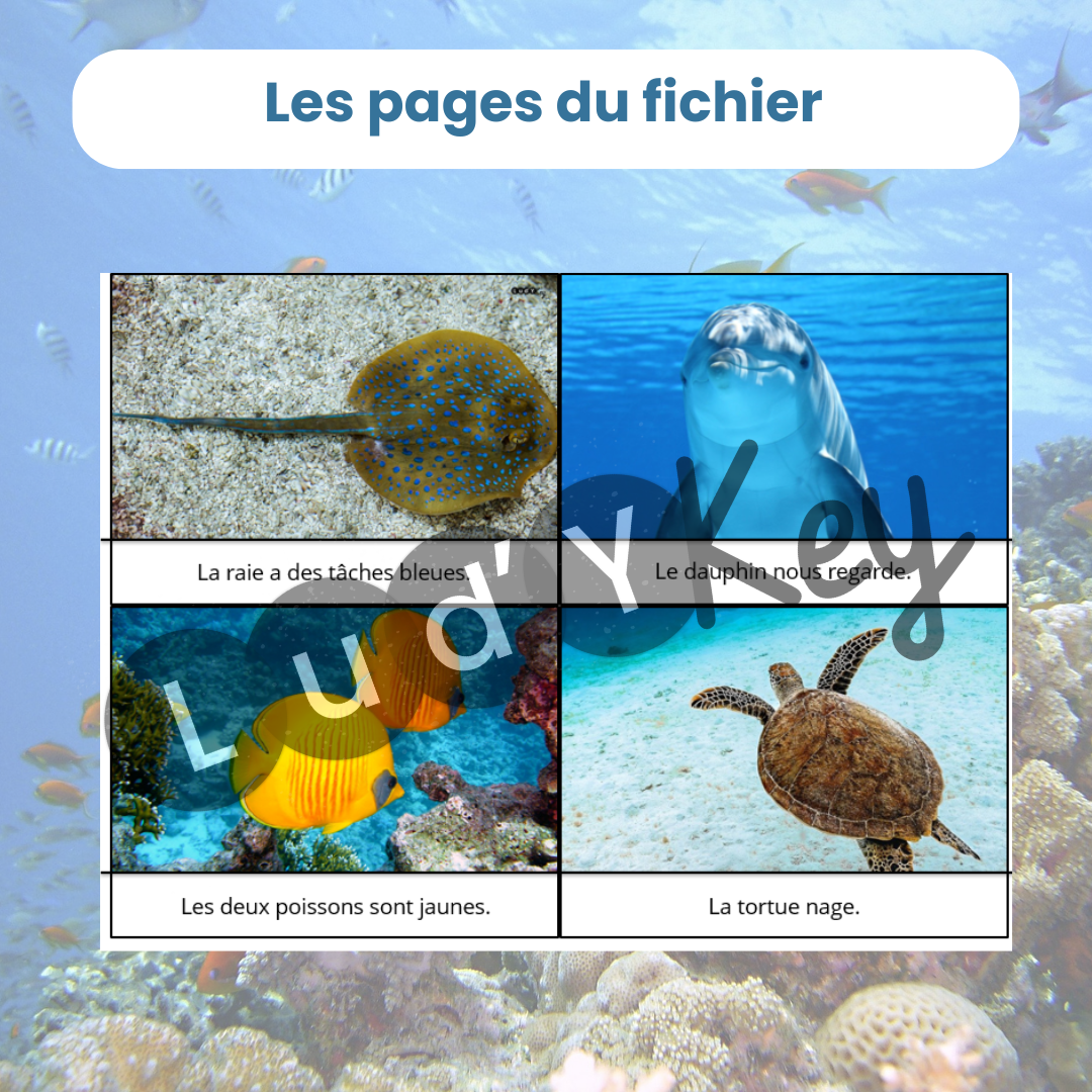 4 cartes images et 4 billets de lecture à associer pour travailler la compréhension