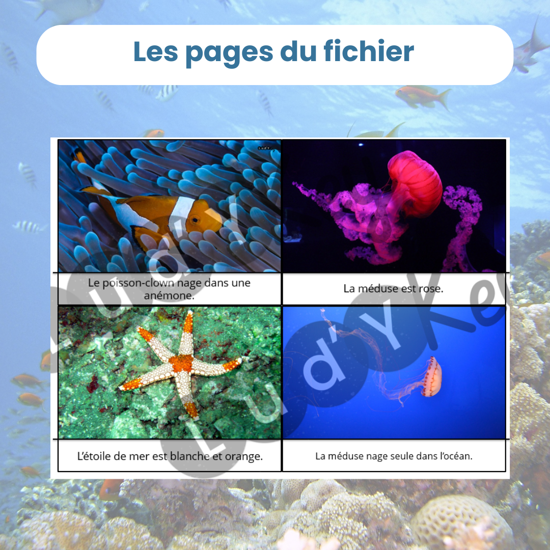 exemple de page pour le PDF jeu de lecture animaux marins
