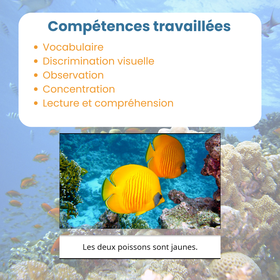 compétences travaillées pour le jeu de lecture animaux marins : compréhension de lecture