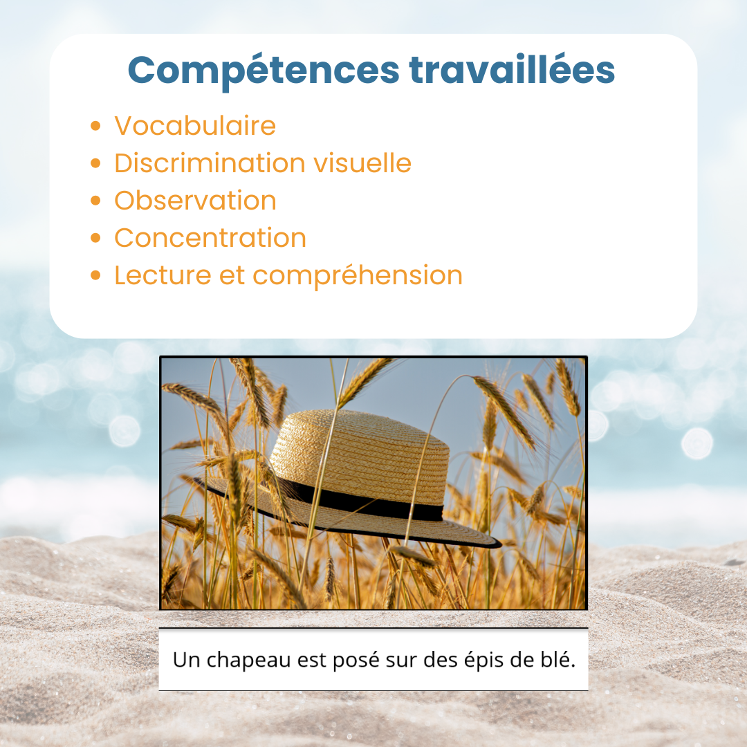Compétences travaillées avec le jeu de lecture de l'été : lecture et compréhension du texte