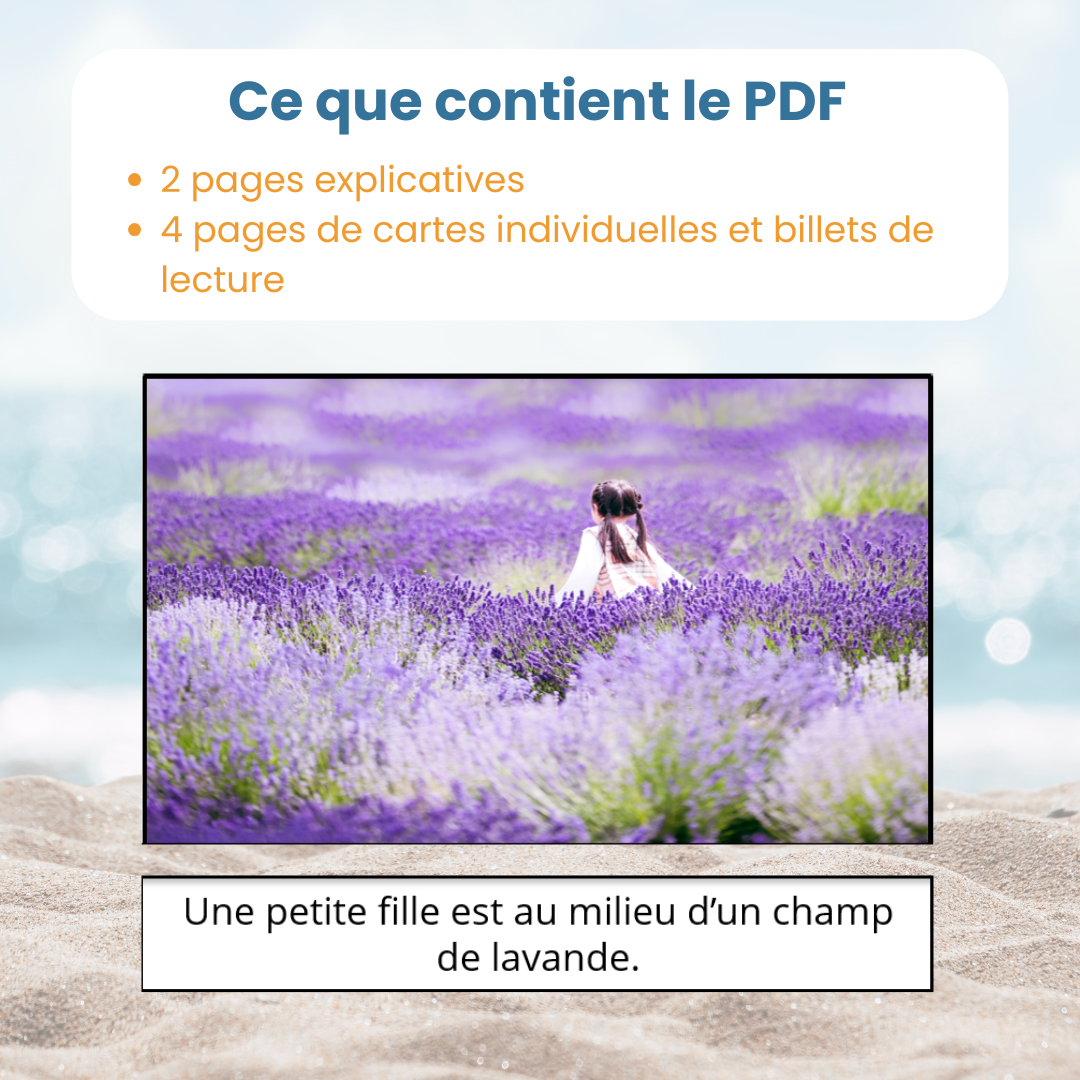 Contenu du PDF jeu de lecture été : fiches explicatives, 16 photographie et 16 billets de lecture