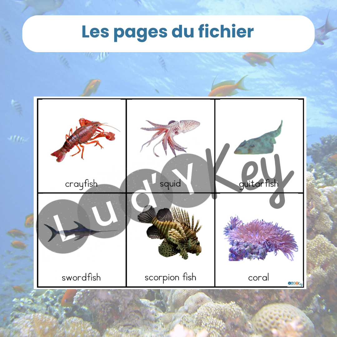 exemple de page du fichier PDF mise en paire français anglais animaux marins