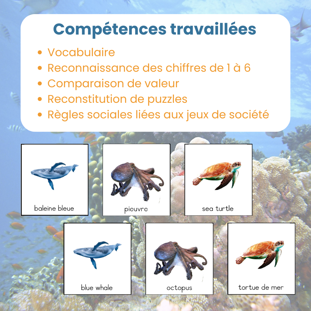 apprendre le vocabulaire anglais des animaux marins grâce au jeu
