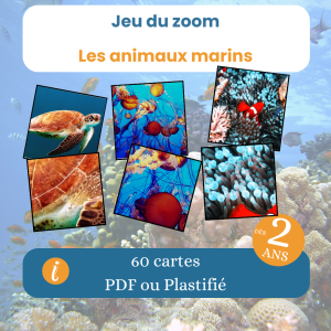 jeu du zoom des animaux marins dès 2 ans PDF à télécharger
