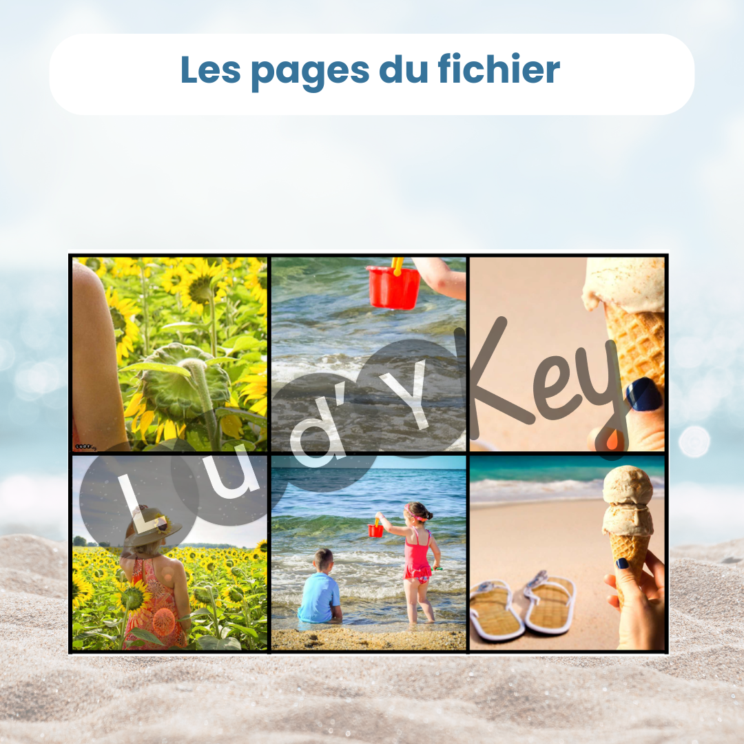 Cartes photographies été et détails à découper : jeu d'association PDF pour temps calme
