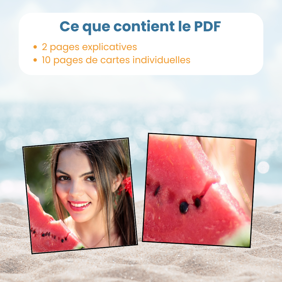 Contenu du PDF jeu du zoom été : fiches explicatives et 60 cartes photographies à associer