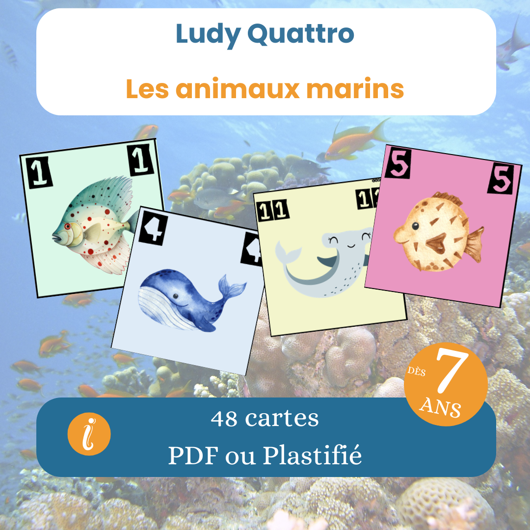 Ludy Quattro – Jeu animaux marins