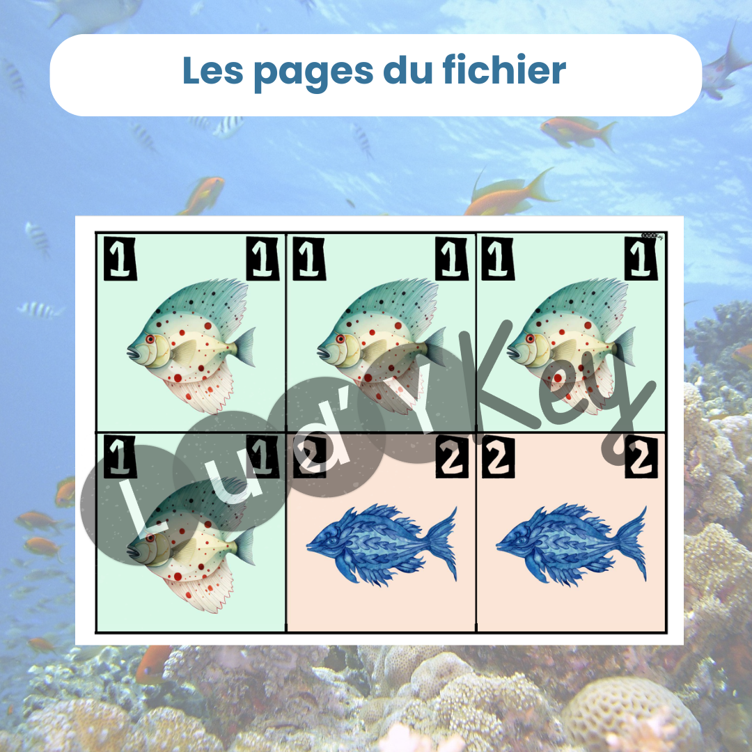 Planche de cartes à découper pour le jeu de mémoire ludy quattro animaux marins