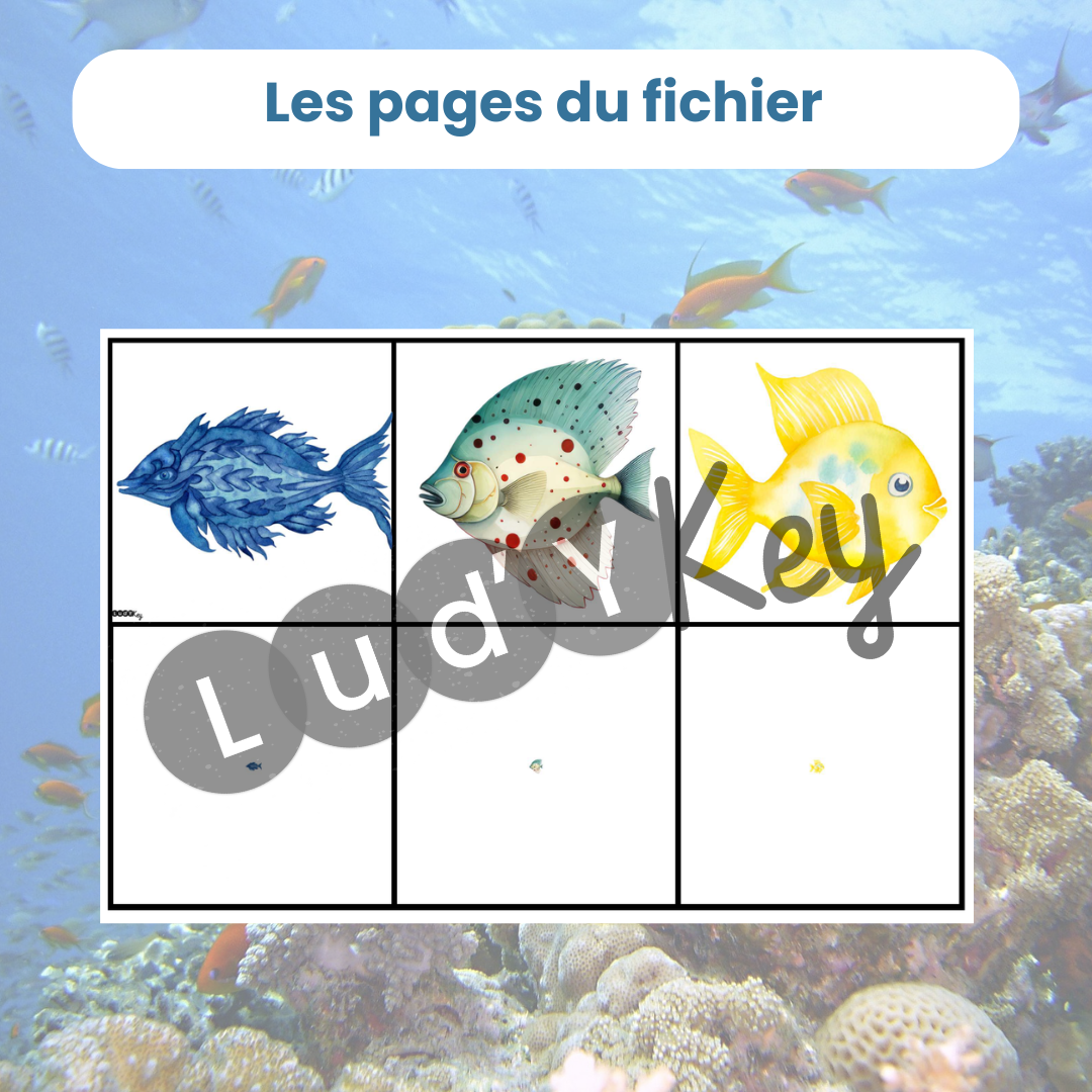 cartes à découper pour le jeu de mise en paire mini maxi animaux marins