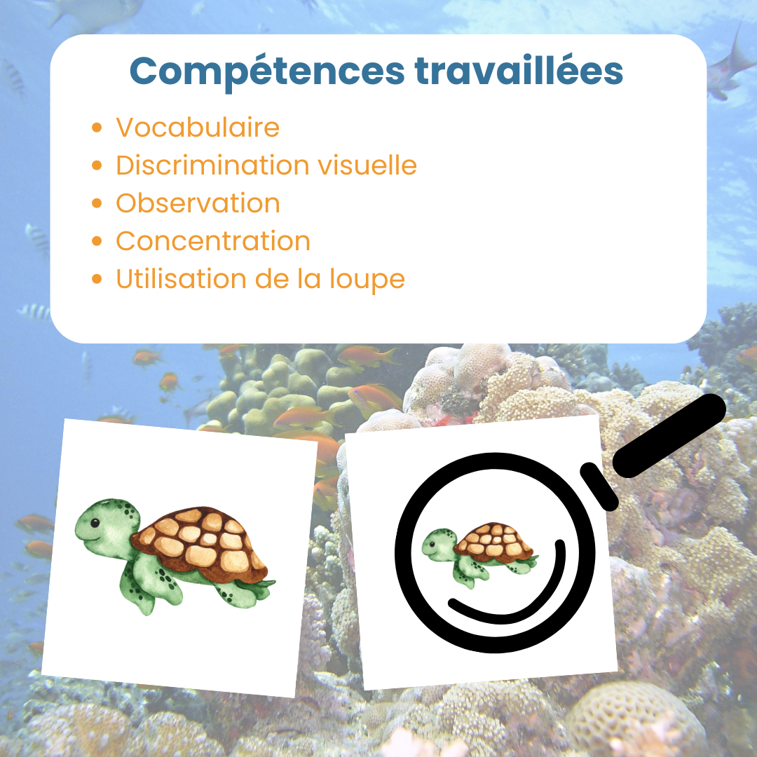 Compétences travaillées pour le jeu de mise en paire mini maxi animaux marins : observation, comparaison et utilisation de la loupe
