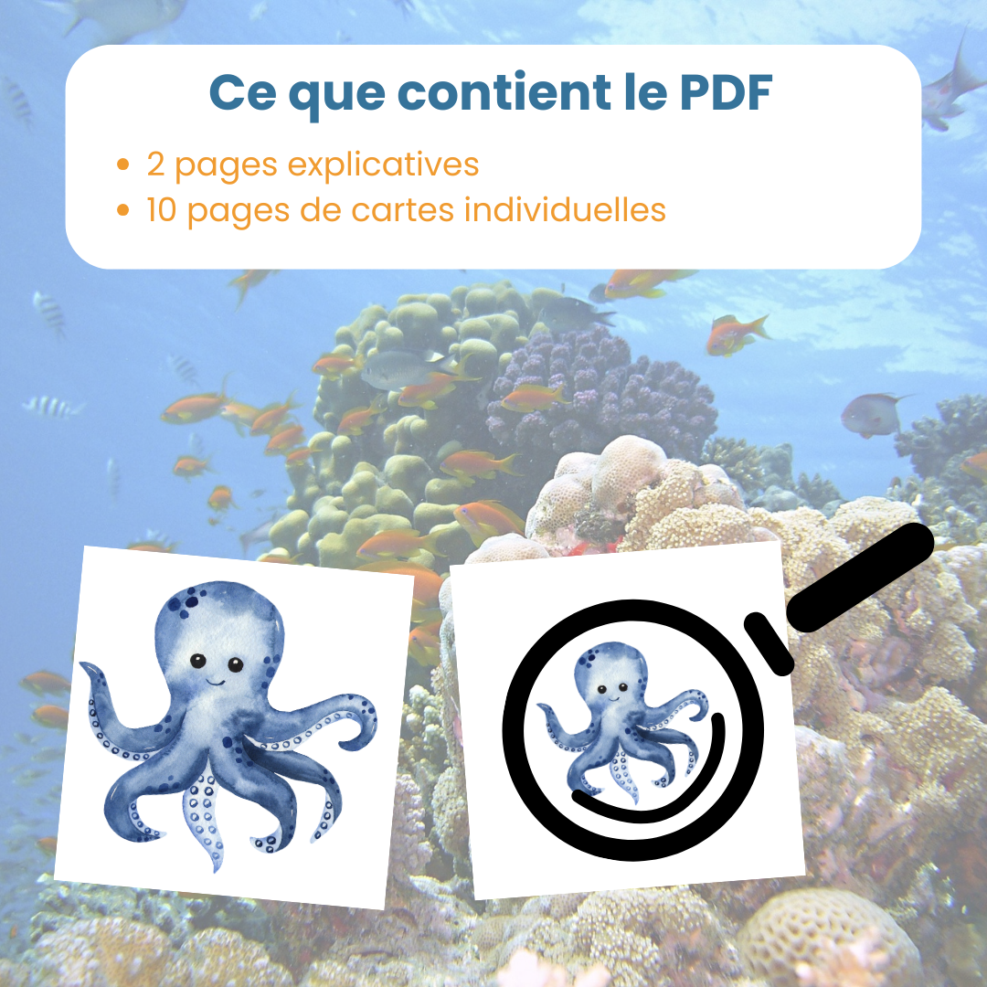 Contenu du PDF mise en paire mini maxi animaux marins : fiches explicatives et cartes à découper