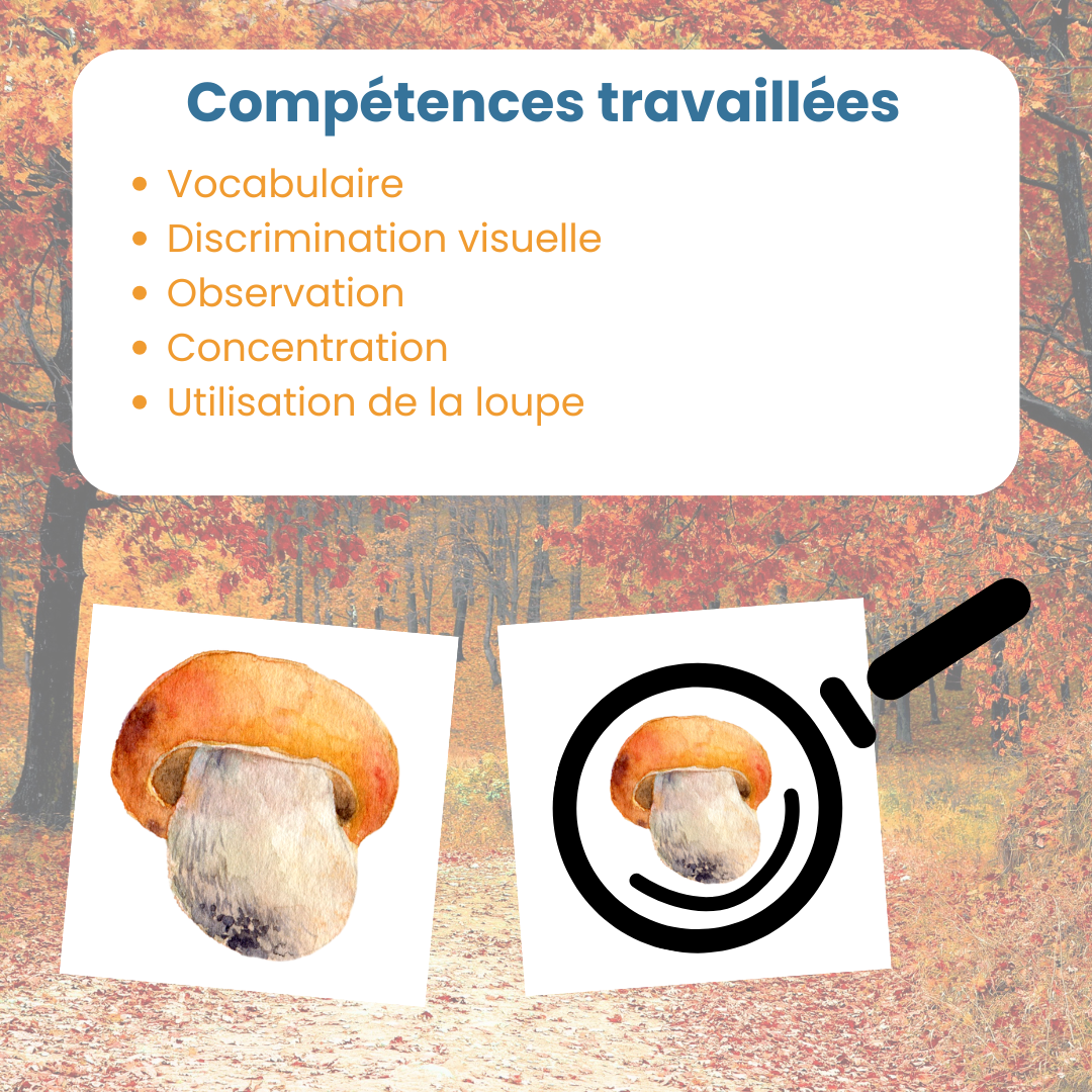 Compétences travaillées pour le jeu de mise en paire mini maxi : utilisation de la loupe et discrimination visuelle