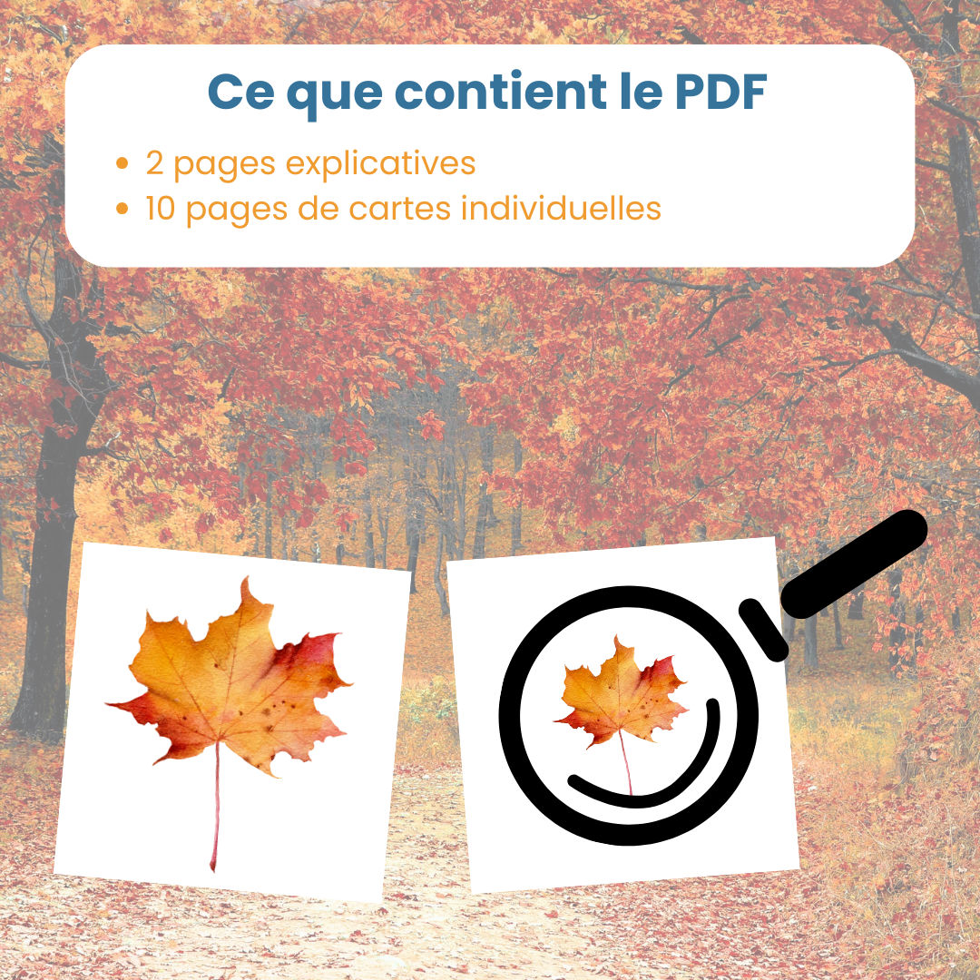Contenu du PDF mise en paire mini maxi : fiches explicatives et 60 cartes à découper