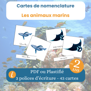 Les 43 cartes de nomenclature sur les animaux marins, dès 2 ans, PDF à imprimer