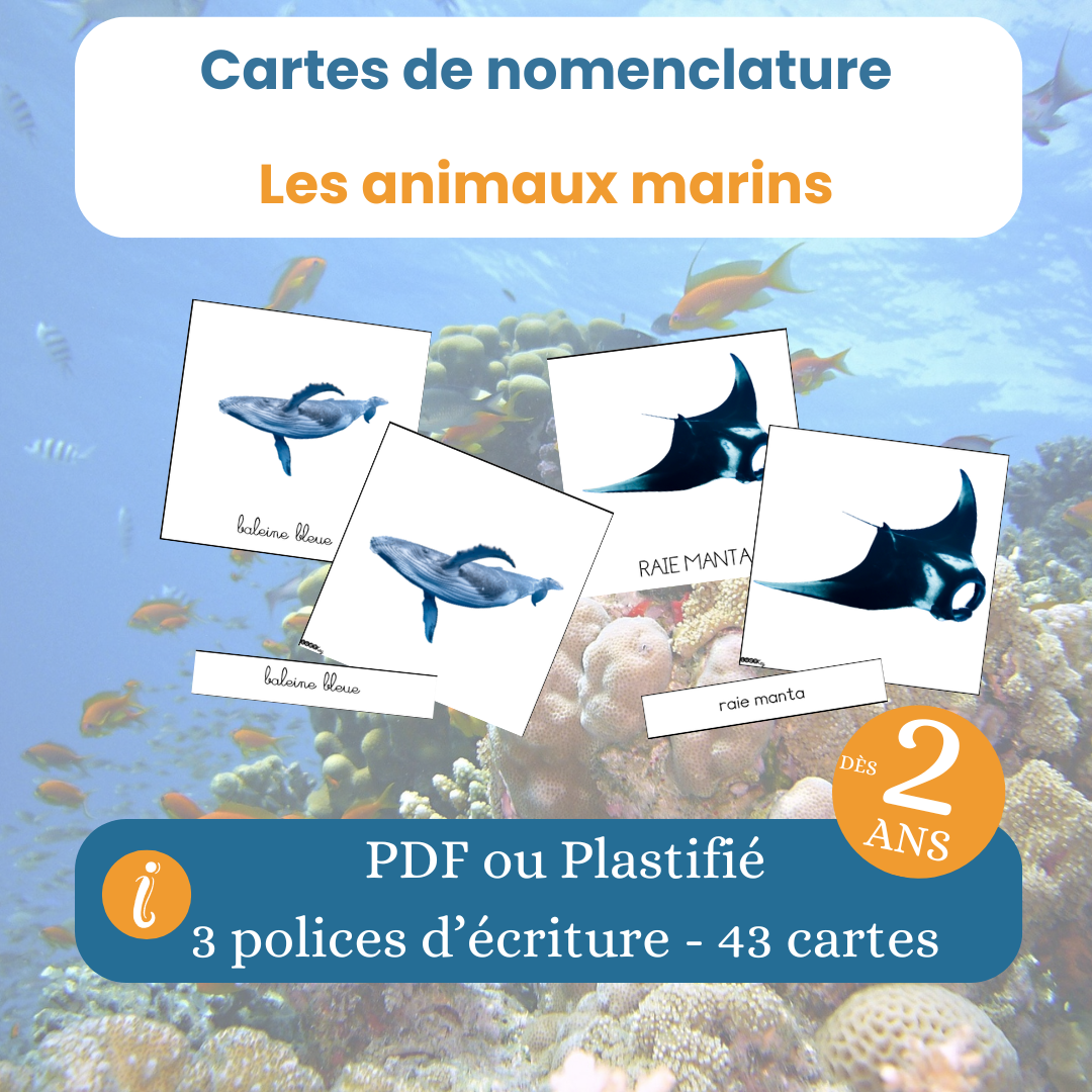 Les 43 cartes de nomenclature sur les animaux marins, dès 2 ans, PDF à imprimer