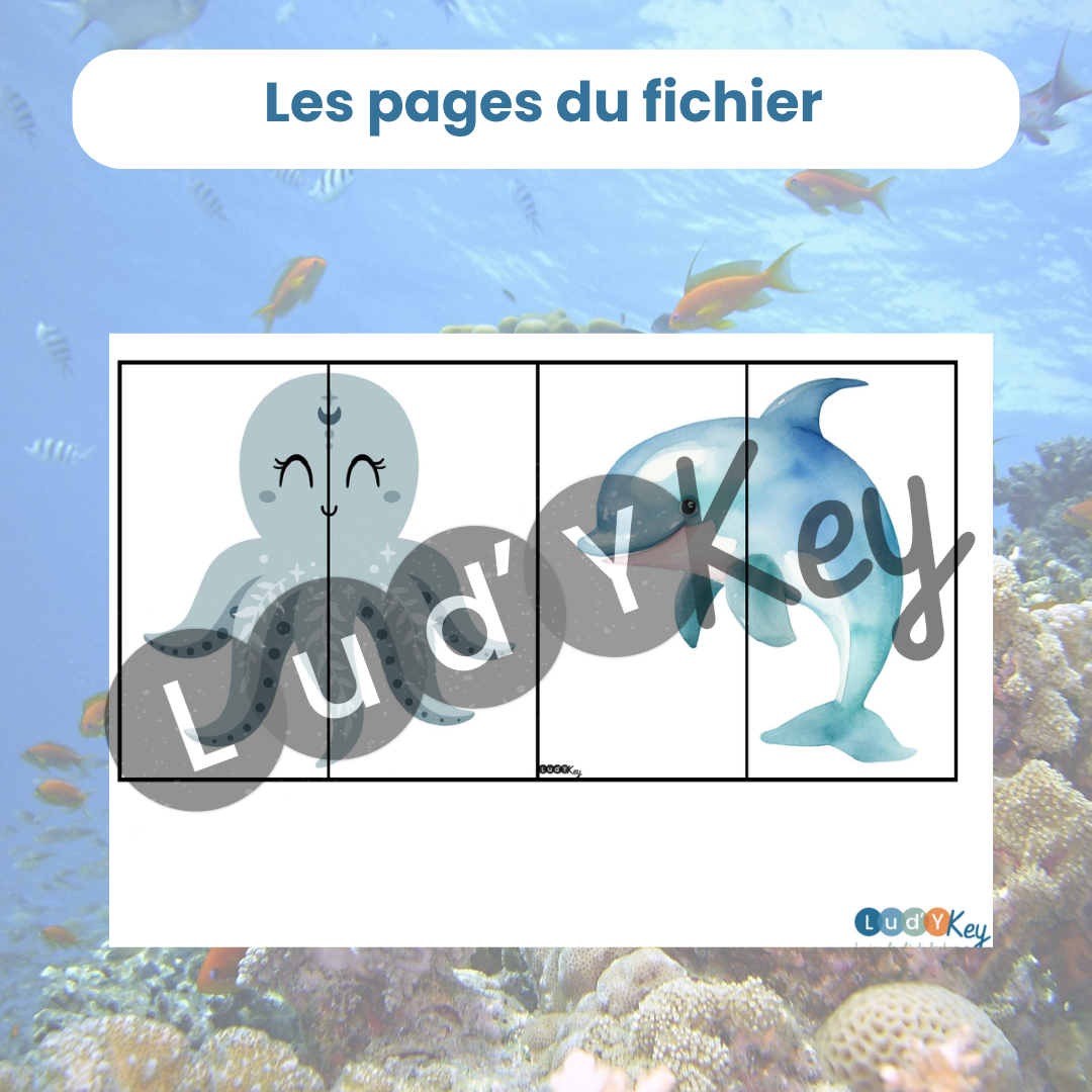 exemple de puzzles 2 pièces illustrations animaux marins