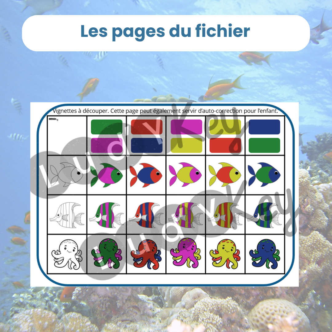 Tableau à double entrée deux couleurs en PDF