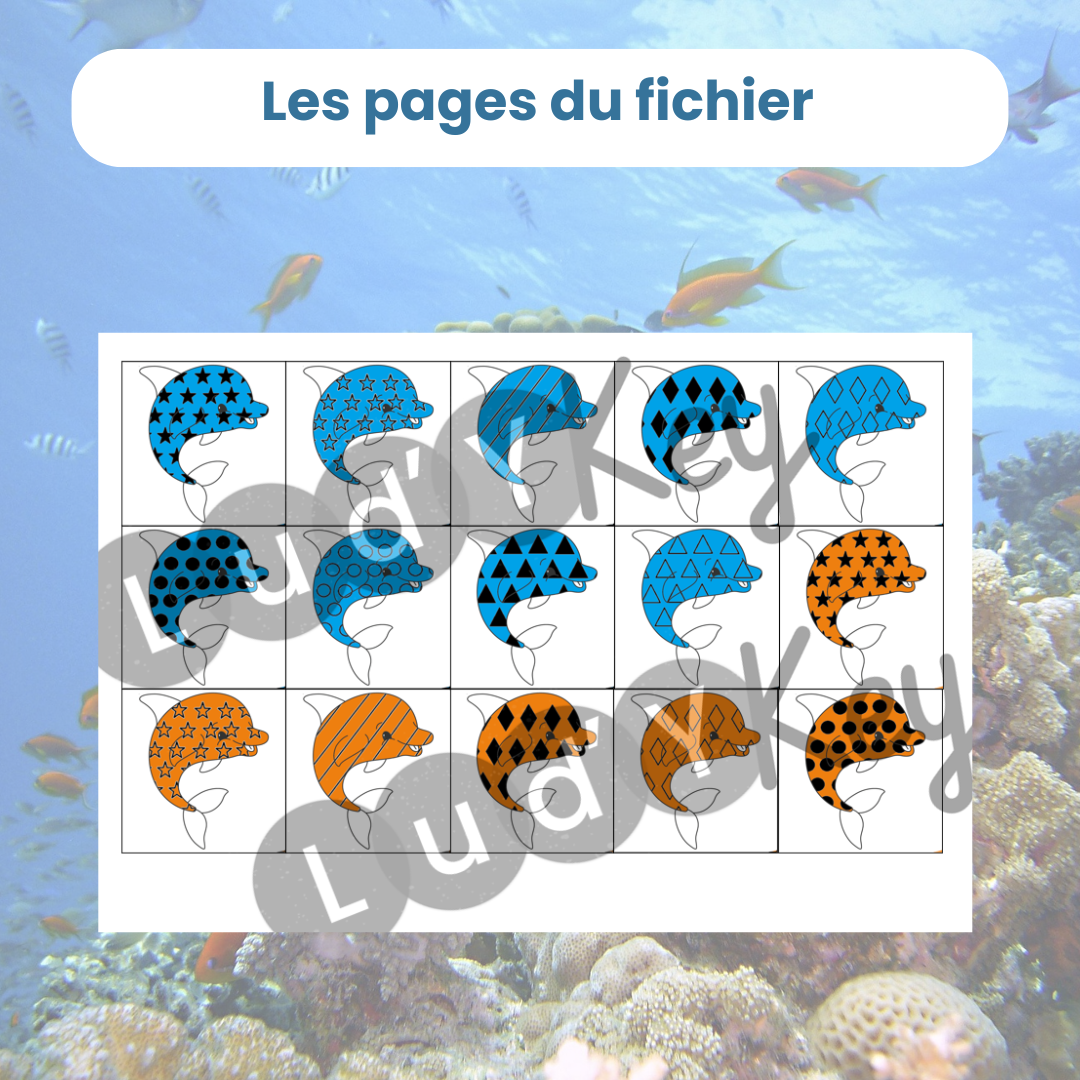 Vignettes dauphin pour tableau à double entrée animaux marins