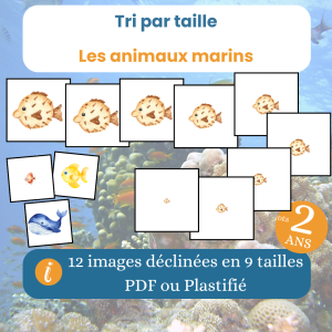 jeu de tri par taille des animaux marins dès 2 ans, PDF à imprimer