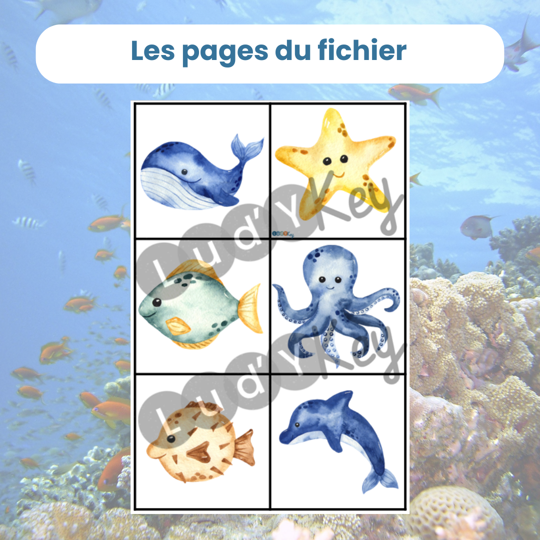 exemple de page du tri par taille animaux marins : cartes poissons dauphin et baleine à découper