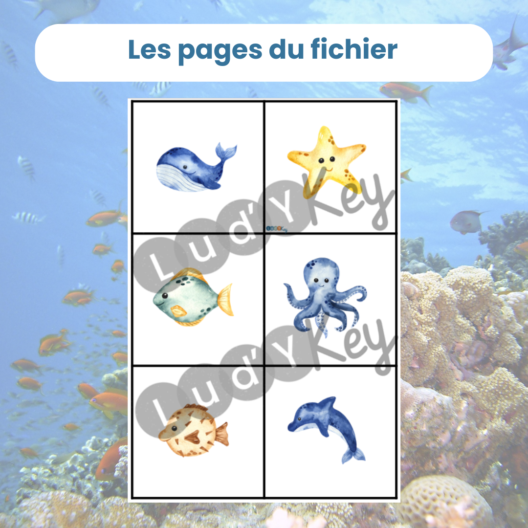 Des cartes à découper de plus petite taille pour ce PDF de tri par taille
