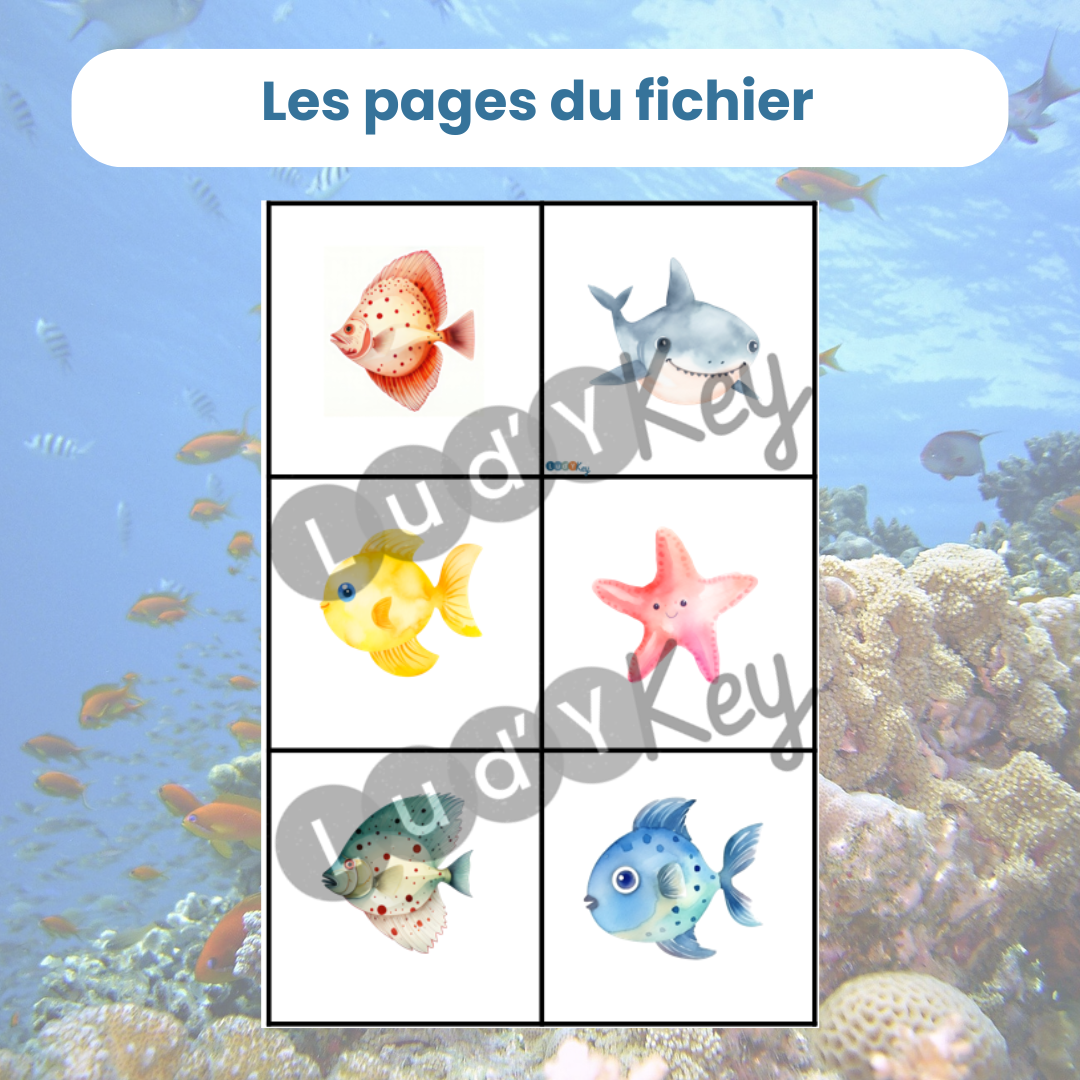 6 nouvelles illustrations de poissons pour ce jeu de tri par taille animaux marins