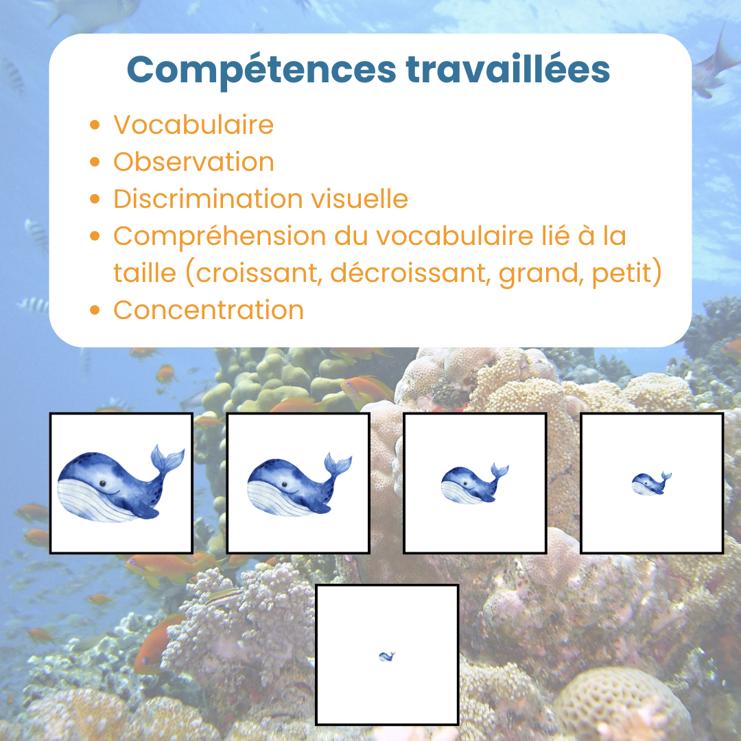 Compétences travaillées pour le jeu de tri par taille animaux marins : discrimination visuelle et concentration