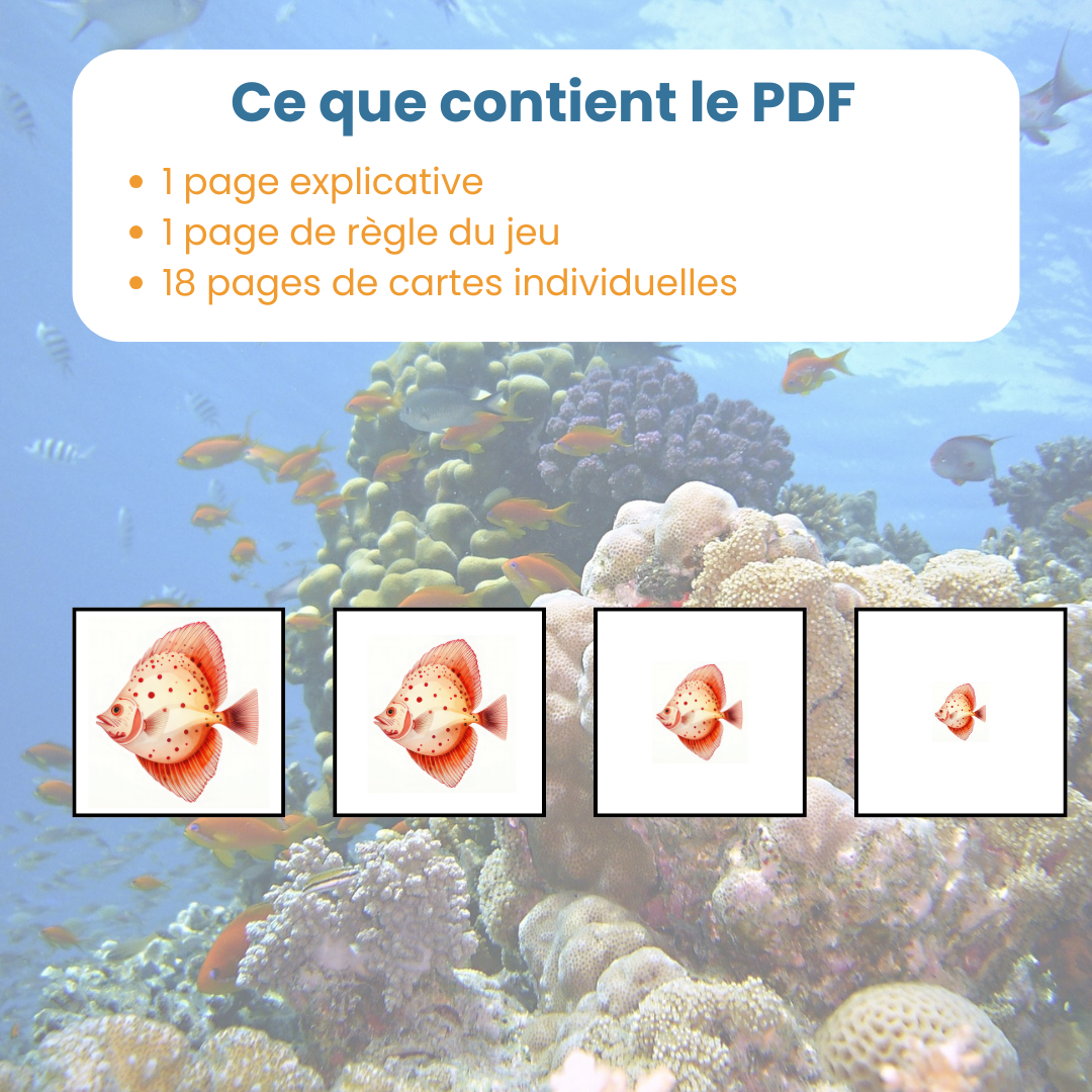 Contenu du PDF tri par taille animaux marins : fiches explicatives et cartes à découper