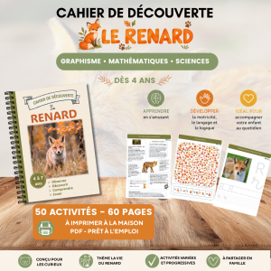 cahier de découverte le renard dès 4 ans PDF à imprimer