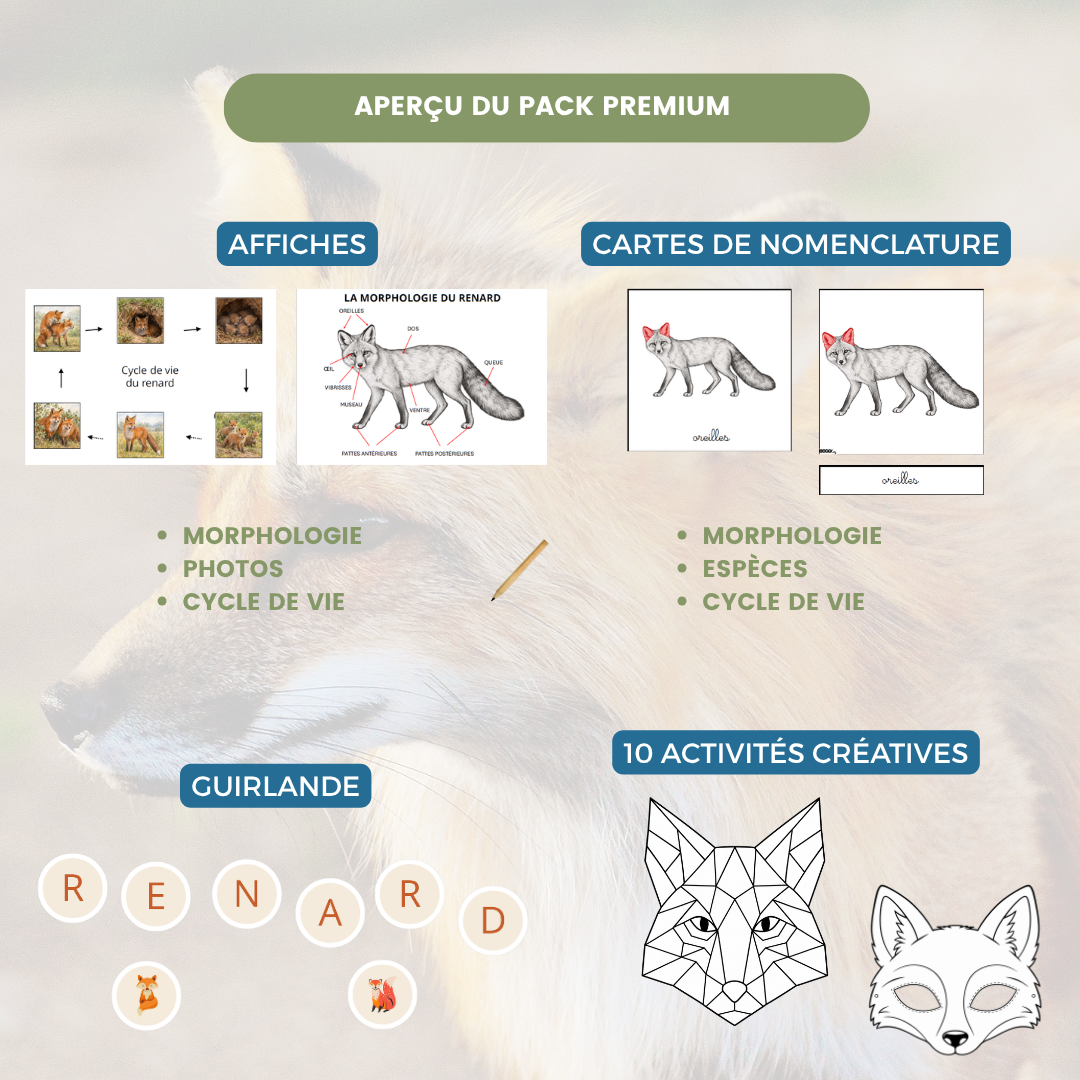Aperçu du pack PREMIUM pour le cahier de découverte sur le renard